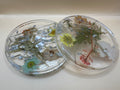 Handmade resin eyelash case