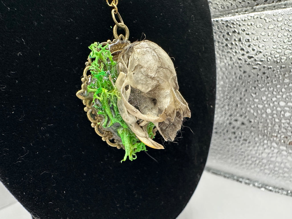 Rat Skull oddity necklace