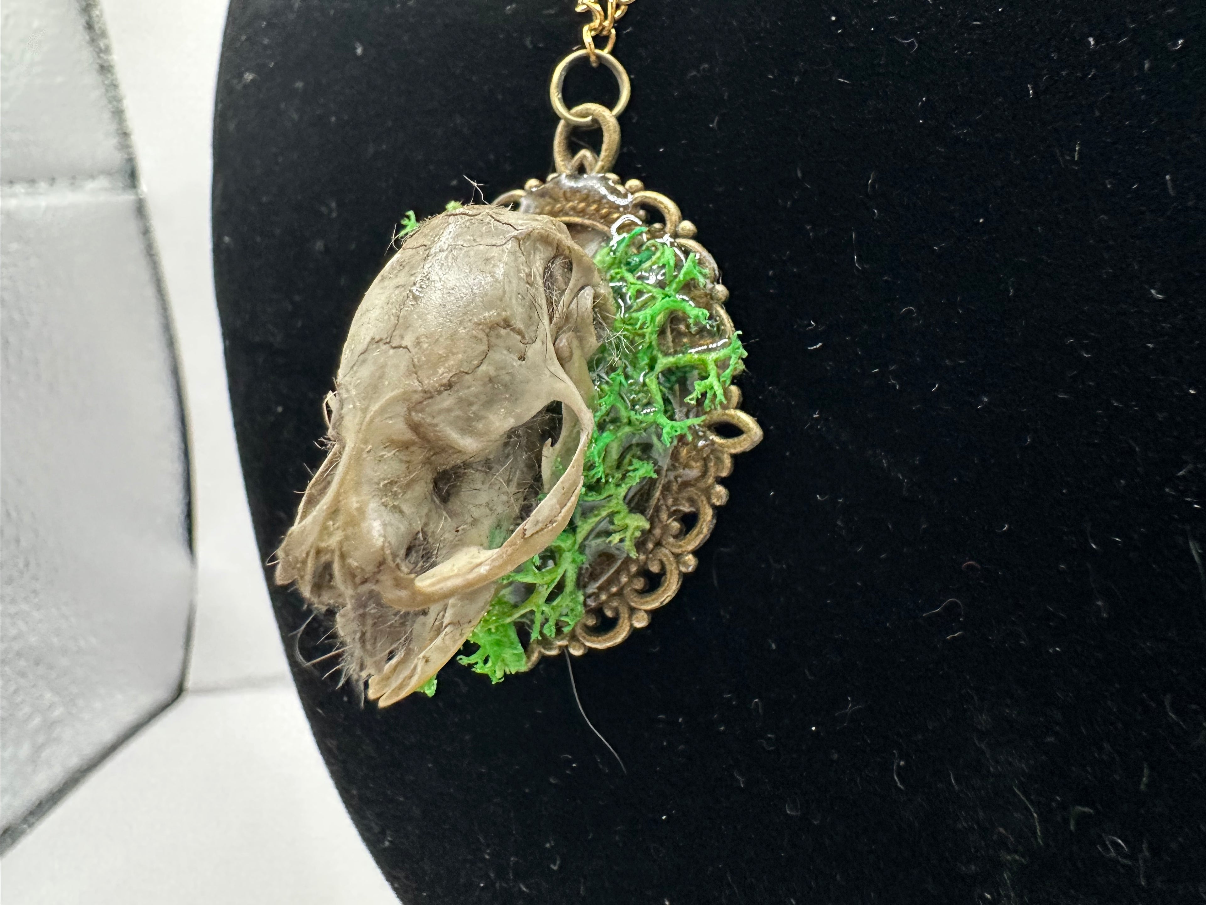 Rat Skull oddity necklace