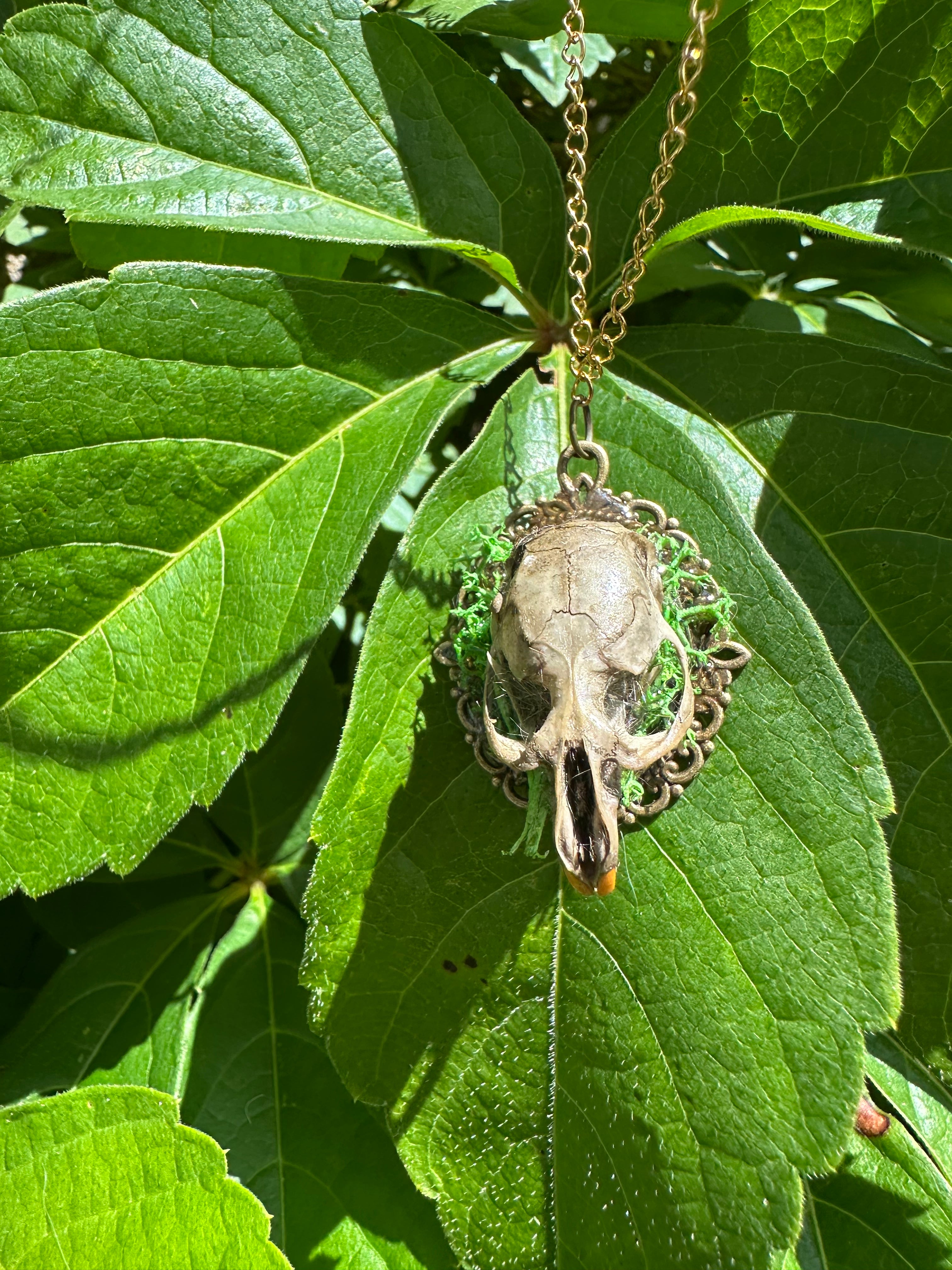 Rat Skull oddity necklace